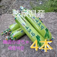 韓国カボチャ　애호박　カボッキー　エホバク　農薬不使用　無農薬栽培 韓国カボチャ 애호박 カボッキー エホバク 農薬不使用 無農薬栽培