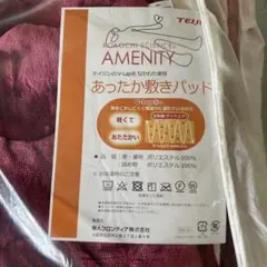 TEIJIN、敷パッド、