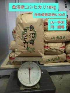 魚沼産コシヒカリ10kg（令和7年産）食味値最高級S90点 JA1等米同一圃場のサムネイル