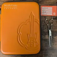 Item thumbnail for item 288839c4-2066-4d3c-8a48-9daeebdd2916