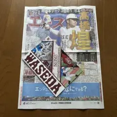 東京六大学野球 早稲田大学 パンフレット 早スポのサムネイル