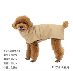 Item thumbnail for item 0ee0a8e7-be76-4667-bb62-0708f551baf3