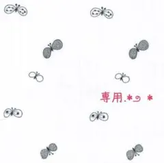 うーたん様専用.*೨⋆*✩