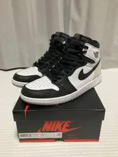 Air Jordan 1 High OG Bleached Coral28.5