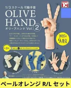 1/3 SCALE 可動手首　オリーブハンド Vol.2　ペールオレンジ　セット