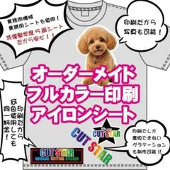 フルカラー印刷　アイロンプリントシート　オーダーメイド　制作　Tシャツスウェット