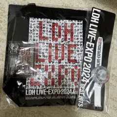 LDH LIVE-EXPO 2024 プレミアムチケット特典 トートバッグ