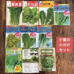 珍しい葉物野菜入り 10種類セット 野菜の種