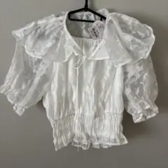 earth music&ecology フラワー　ブラウス　襟付き　シアー