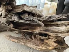 Item thumbnail for item b2497e68-748d-49b6-b4c8-0b19d3ee8f98