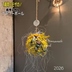 2026年最新】フライングリースの人気アイテム - メルカリ