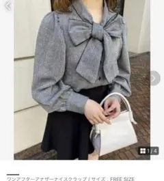 ナイスクラップ　ブラウス