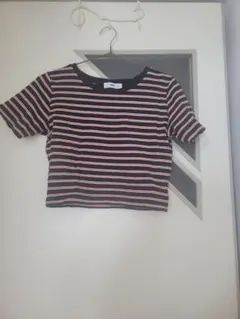 WEGO ボーダー クロップド丈 Tシャツ Sサイズのサムネイル