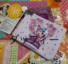 ディズニー　ファンダフル　パルパルーザ　ミニーファンダーランド　ポーチ
