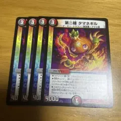 タマネギル 4枚セット