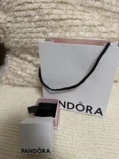 PANDORA パンドラ ショップ袋 チャームボックス セットのサムネイル
