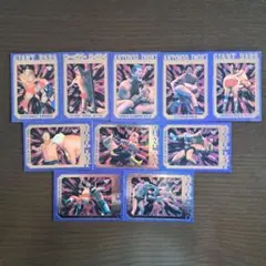 た*し様 1996年BBMプロレス トレーディング懸賞カード 10枚セット