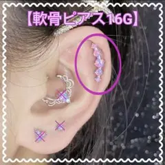 Item thumbnail for item 2f364f6d-7e0f-4f9b-b9bc-2a18ec5b7bc0