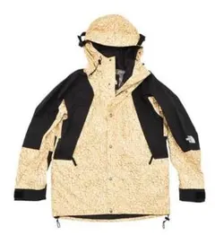 2025年最新】1994 レトロマウンテンライトの人気アイテム - メルカリ