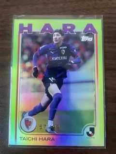 Item thumbnail for item c240bb1f-46dc-4a15-b069-13af640095a6