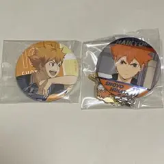 ハイキュー　日向翔陽グッズセット