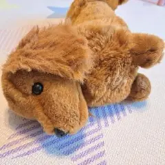 Animal Alley ぬいぐるみ ミニチュアダックスフンド 犬 トイザらス