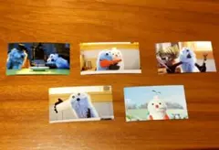 5種セット スンスン お台場ポップアップ 限定 ノベルティ ステッカー シール