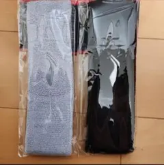 Item thumbnail for item d35f2d94-58cb-47ae-8a20-d557cf204896