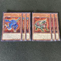 遊戯王　エヴォルダー・リオス　エヴォルダー・フォリス　セット　③
