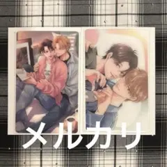 ビーボーイ 35周年記念展 ビボ展 クリアシート クリアカード 楢島さち 