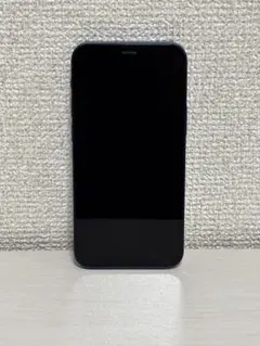 Apple iPhone 12 mini ブルーSIMなし