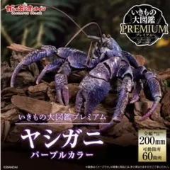 いきもの大図鑑プレミアム ヤシガニ パープルカラー 限定 沖縄 仮面