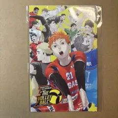 ハイキュー 大判ポストカード2枚セット Vリーグコラボ限定