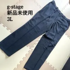 新品タグ付き★g-stage 清涼 吸水速乾 ストレッチパンツ メッシュ素材のサムネイル