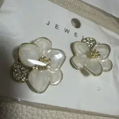 Item thumbnail for item 56262408-998f-4ef8-9fce-a7fbe6b042f1