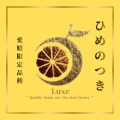 希少品種‼️愛媛産　ひめのつき　家庭用8kg　 日向夏　アンコール
