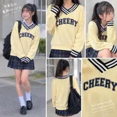 ロゴ Vネック スウェット トレーナー