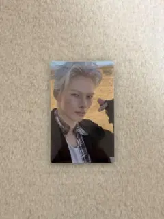 THE SIN:VANISH ニキ トレカ