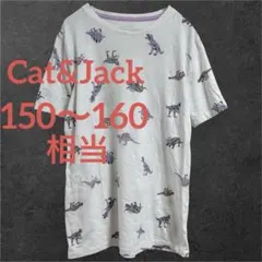 Cat&Jack 恐竜 総柄キッズTシャツ【L/150 160】ダイナソー 半袖