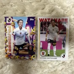 Item thumbnail for item 3306e2c2-5f4e-4e11-a763-bce2b265e92b