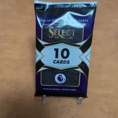panini select premier league 24/25 1パック③