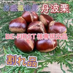 【BE-FIRST様専用出品】丹波篠山産、丹波栗 4kg 割れ品