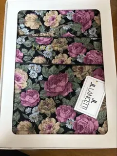 Item thumbnail for item 662c2098-2470-4487-bc0b-02417c427ba9