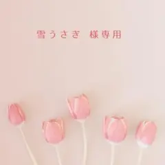 雪うさぎ 様専用