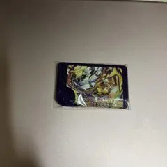 ポケモンフレンダ　タケルライコ　スーパートレジャー