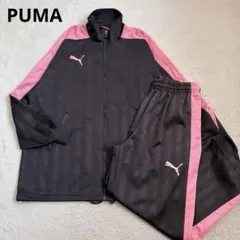 廃盤　美品　PUMA プージャ　ピンク　ジャージ　上下セットアップ　y2k PUMA ジャージ セットアップ プージャー Y2K 廃盤 ピンク グレー