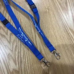 九州電力 エコテラス ネックストラップ 2本セット　ブルー