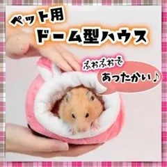 Item thumbnail for item 08afcc4f-17c0-4f89-ba3a-b1bae517d051