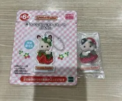 どきどきくじ　アクリルキーチェーン　いちご　チャコールネコ赤ちゃん　ペパーミント
