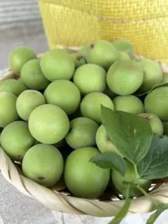 青梅（小梅）箱込み2キロ　⑵のサムネイル